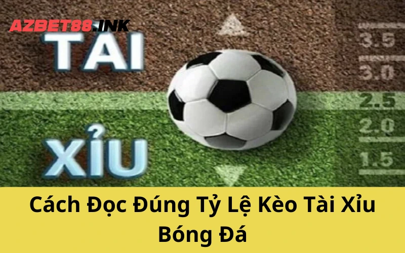 Cách Đọc Đúng Tỷ Lệ Kèo Tài Xỉu Bóng Đá