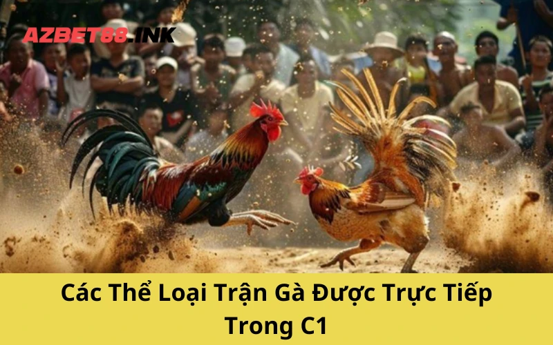 Các Thể Loại Trận Gà Được Trực Tiếp Trong C1