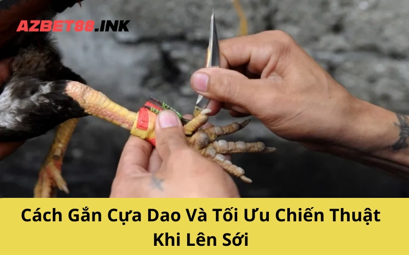 Cách Gắn Cựa Dao Và Tối Ưu Chiến Thuật Khi Lên Sới