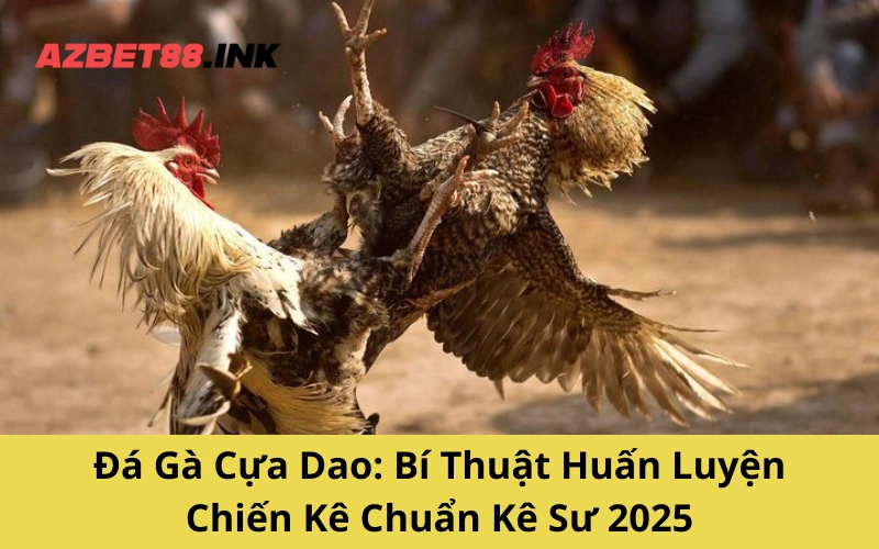 Đá Gà Cựa Dao: Bí Thuật Huấn Luyện Chiến Kê Chuẩn Kê Sư 2025