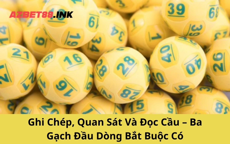 Ghi Chép, Quan Sát Và Đọc Cầu – Ba Gạch Đầu Dòng Bắt Buộc Có