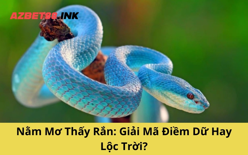 Nằm Mơ Thấy Rắn: Giải Mã Điềm Dữ Hay Lộc Trời