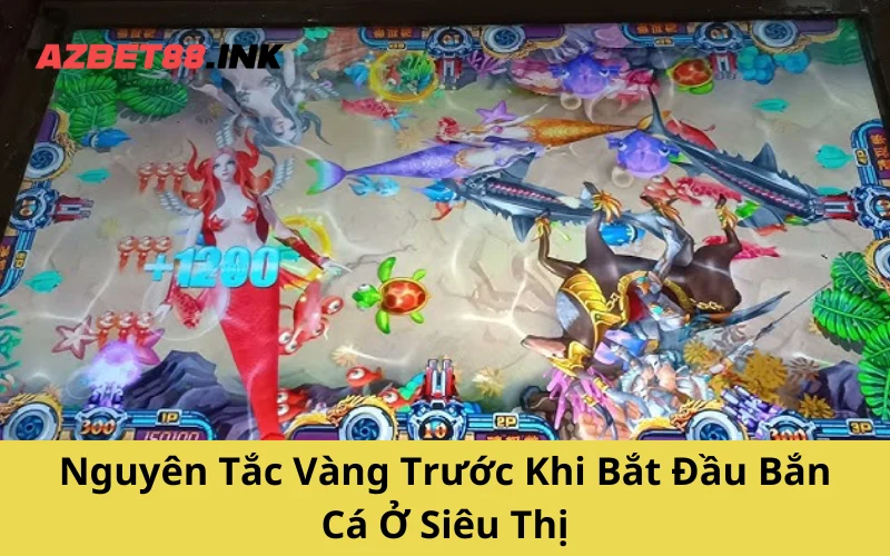 Nguyên Tắc Vàng Trước Khi Bắt Đầu Bắn Cá Ở Siêu Thị