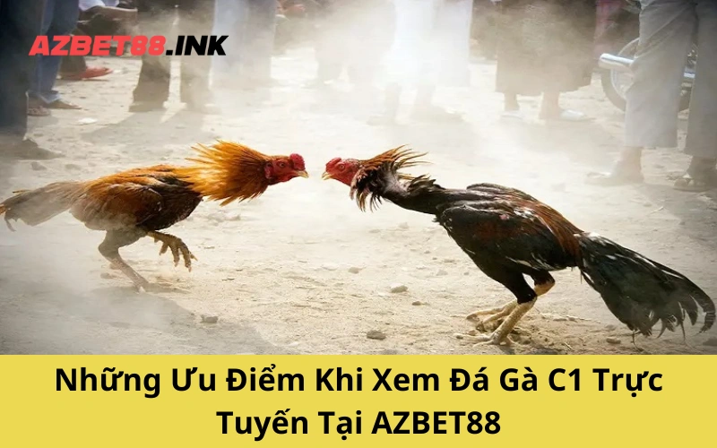 Những Ưu Điểm Khi Xem Đá Gà C1 Trực Tuyến Tại AZBET88