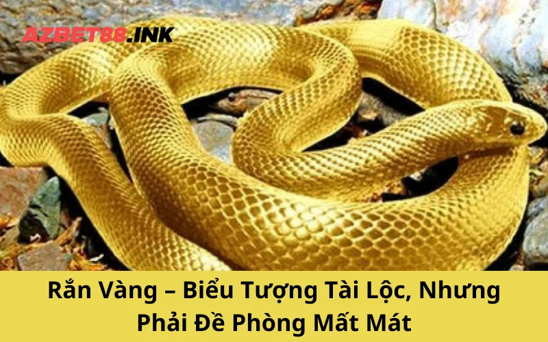 Rắn Vàng – Biểu Tượng Tài Lộc, Nhưng Phải Đề Phòng Mất Mát