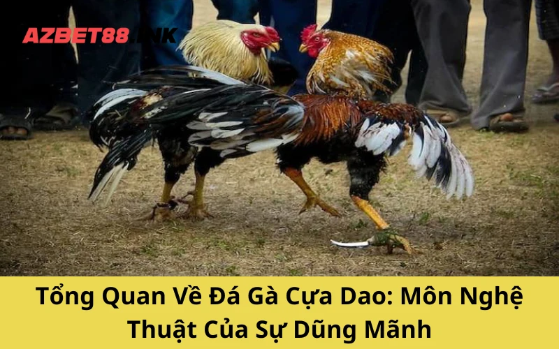 Tổng Quan Về Đá Gà Cựa Dao_ Môn Nghệ Thuật Của Sự Dũng Mãnh