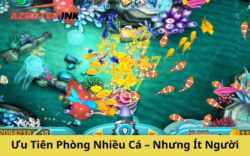 Ưu Tiên Phòng Nhiều Cá – Nhưng Ít Người